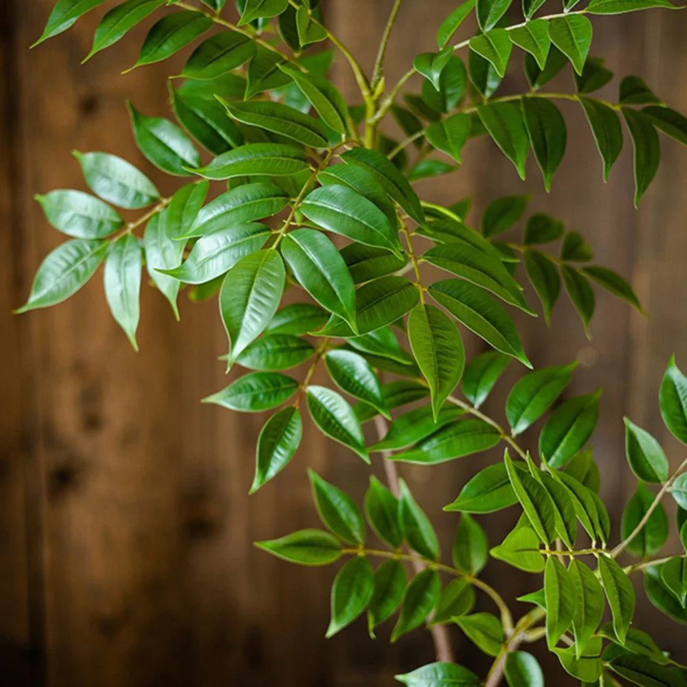 Künstlicher Ficus - Baum: 76 - 140 cm großer Kunststoff - Banyan für Zuhause und Garten - ApolettaApoletta