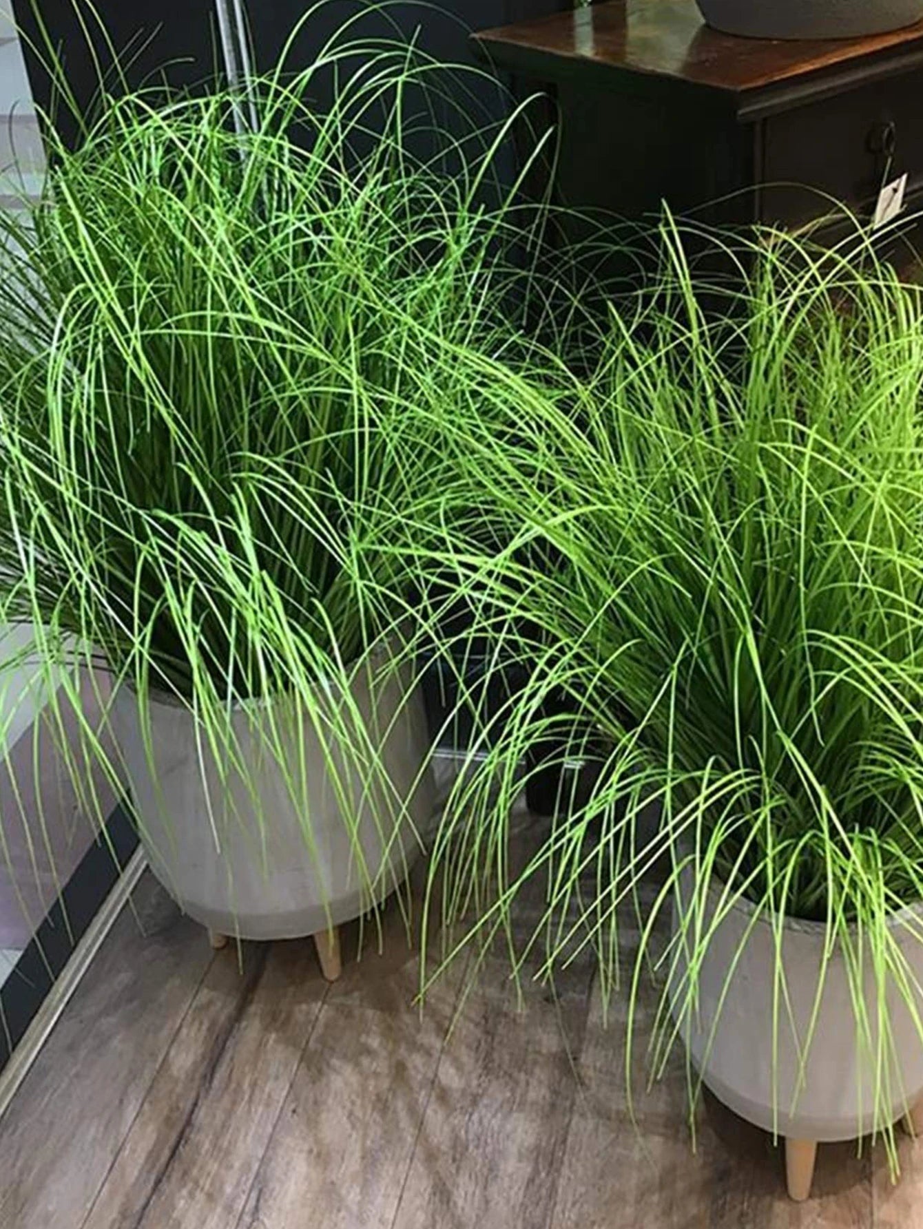 Künstliches Schilfrohrgras: 55 cm große Zwiebelgraspflanzen für Hochzeit, Garten & Büro - ApolettaApoletta