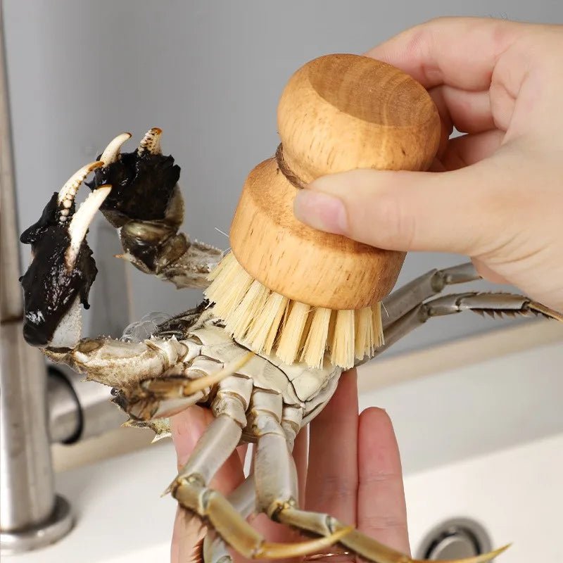 Küchenbürste aus Holz: Multifunktionales Reinigungswerkzeug mit Sisal & Kokos - ApolettaApoletta