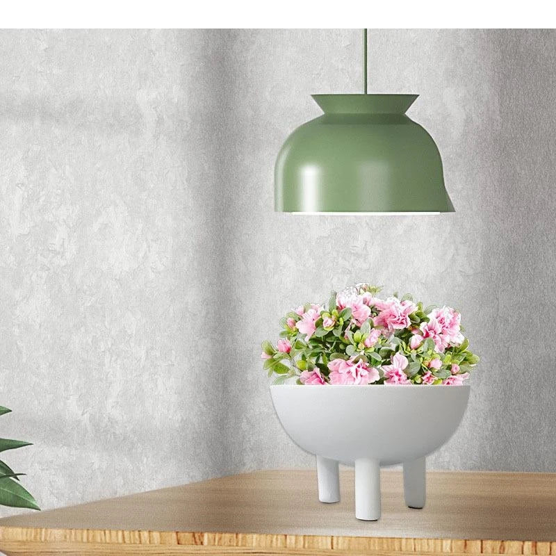 Minimalistische Halbkugel-Vase aus Kunstharz – Modernes Dekor - Apoletta