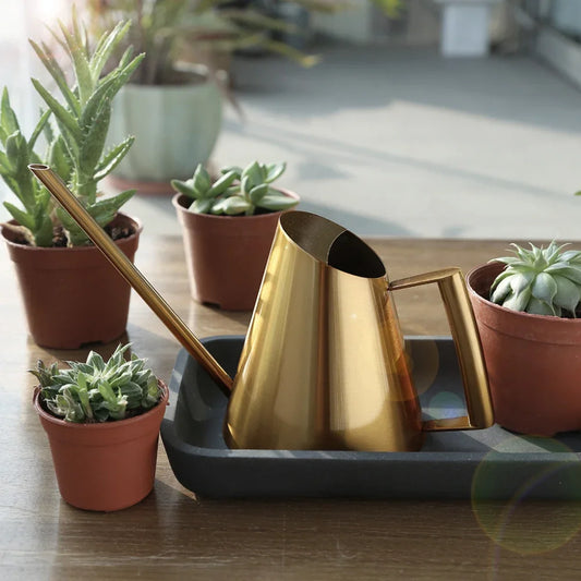 Edelstahl Gießkanne für Innen & Außen - Apoletta