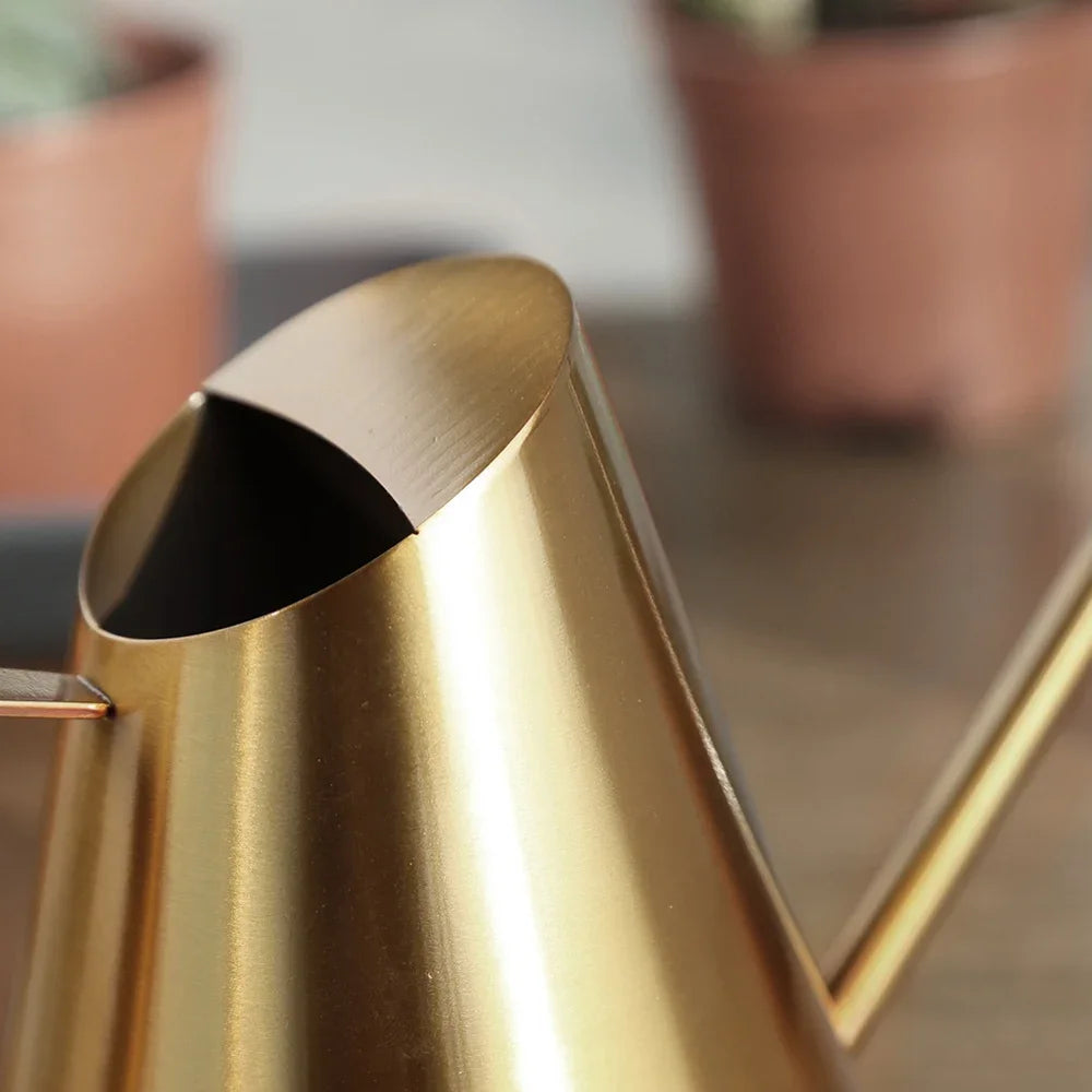 Edelstahl Gießkanne für Innen & Außen - Apoletta