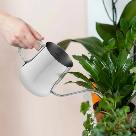 Edelstahl Gießkanne mit langem Auslauf (350ml) - Apoletta