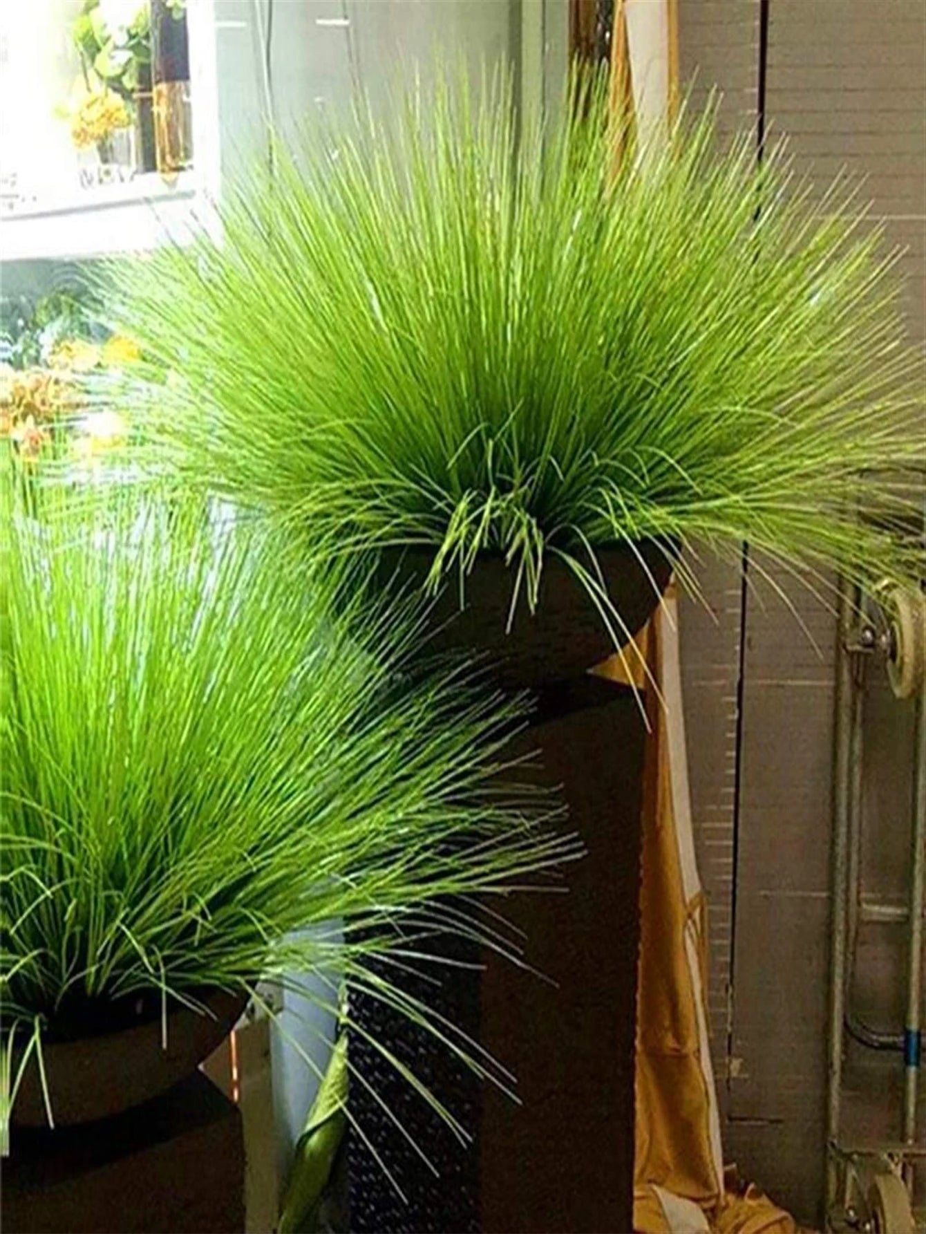 Künstliches Schilfrohrgras: 55 cm große Zwiebelgraspflanzen für Hochzeit, Garten & Büro - ApolettaApoletta