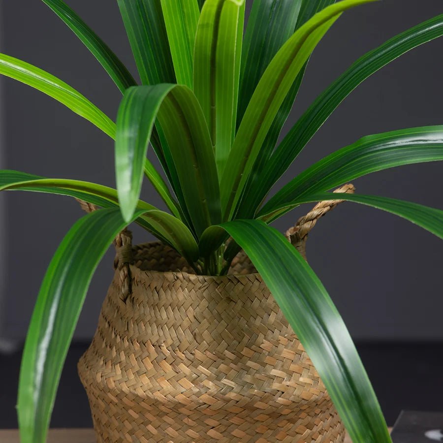 Künstliche Magnolienpflanzen: 50–65 cm hohe Orchideen - Blätter für Büro & Deko - ApolettaApoletta