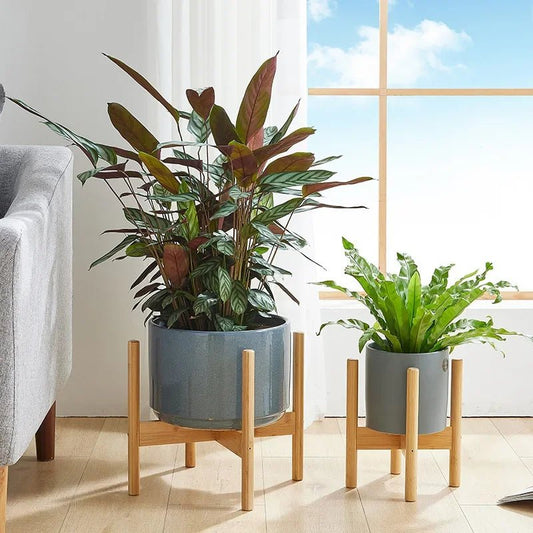 Kreuzförmiger Blumenständer aus Holz – Robuster Display - Halter für Töpfe & Bonsai - ApolettaApoletta