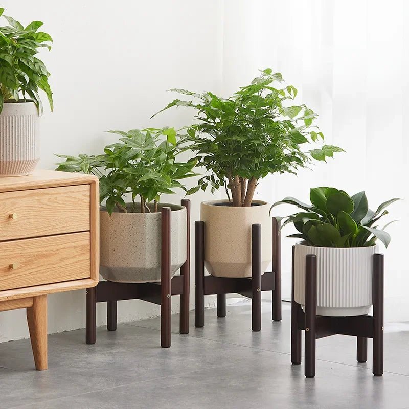 Kreuzförmiger Blumenständer aus Holz – Robuster Display - Halter für Töpfe & Bonsai - ApolettaApoletta
