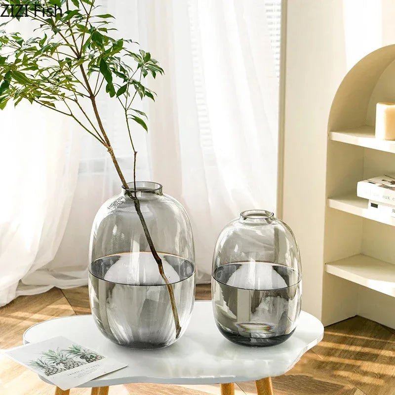 Transparente Glasvase für Hydrokultur - ApolettaApoletta