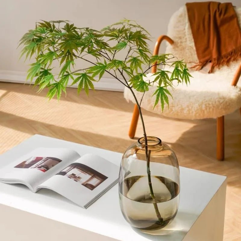 Transparente Glasvase für Hydrokultur - ApolettaApoletta