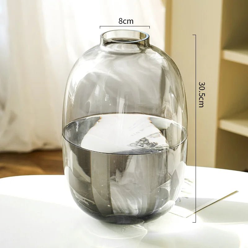 Transparente Glasvase für Hydrokultur - ApolettaApoletta