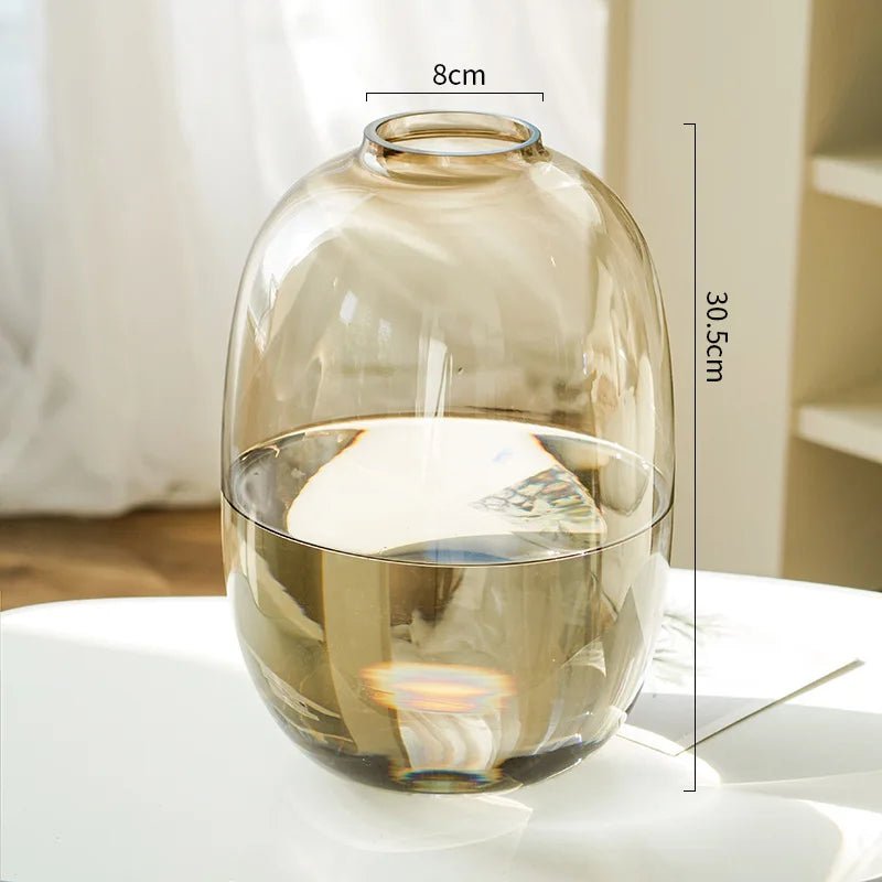 Transparente Glasvase für Hydrokultur - ApolettaApoletta