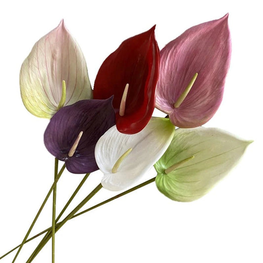 Künstlicher Calla - Lilien - Blumenstiel 77 cm - ApolettaApoletta