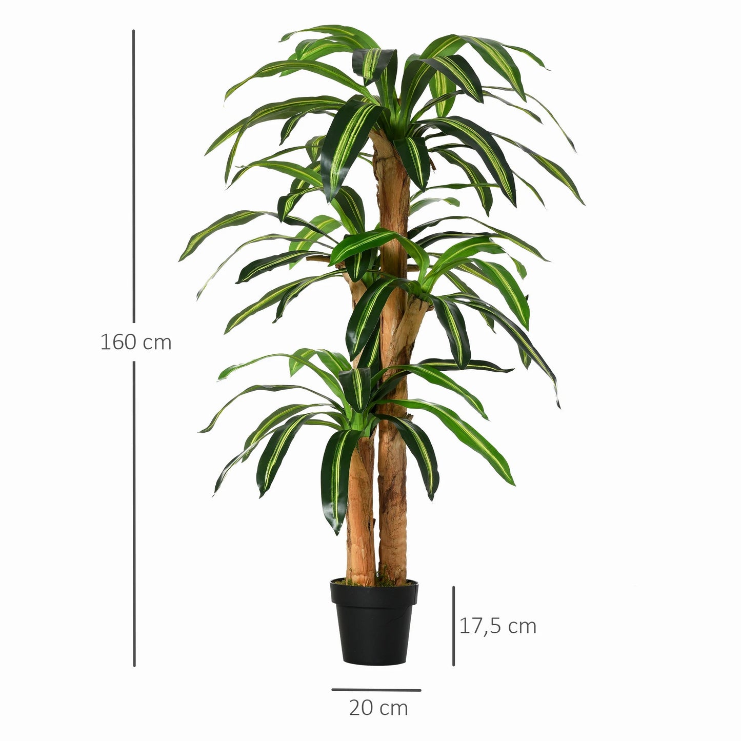 Künstliche Dracaena (160 cm): Realistische Kunstpflanze mit Topf für Ihr Zuhause - ApolettaApoletta