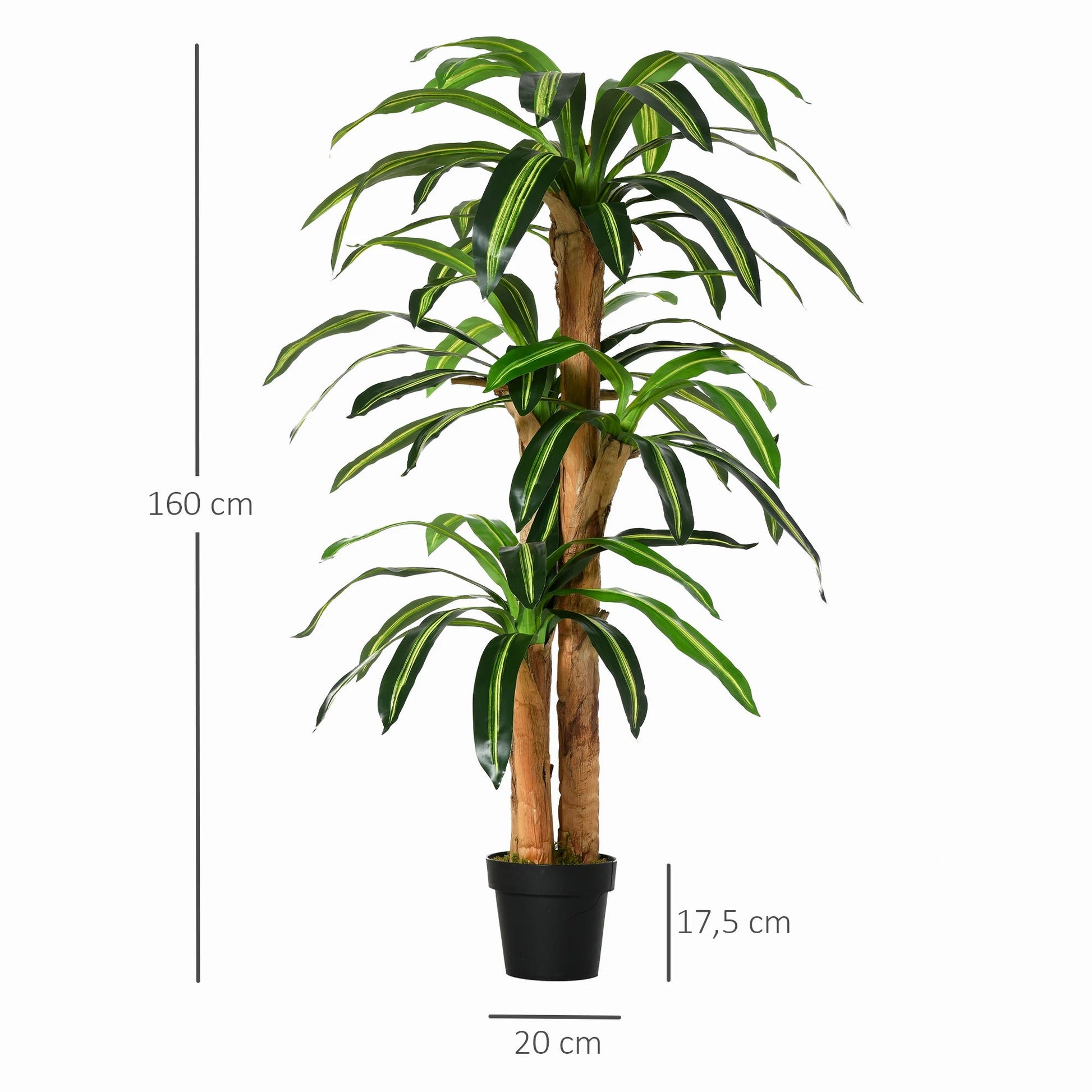 Künstliche Dracaena (160 cm): Realistische Kunstpflanze mit Topf für Ihr Zuhause - ApolettaApoletta