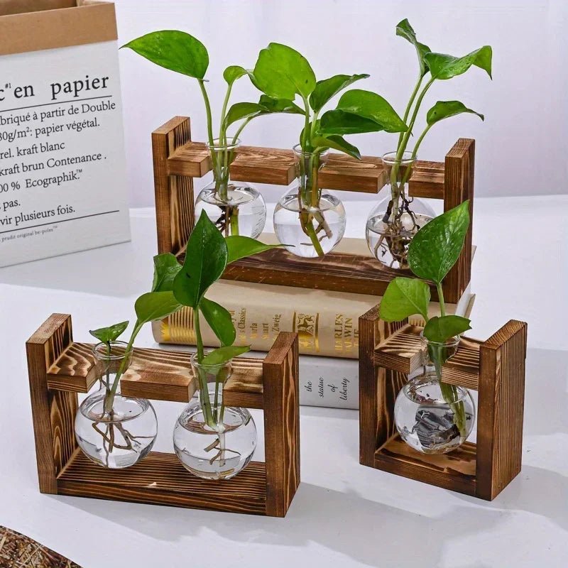Vermehrungsstation aus Glas mit Holztablett - ApolettaApoletta