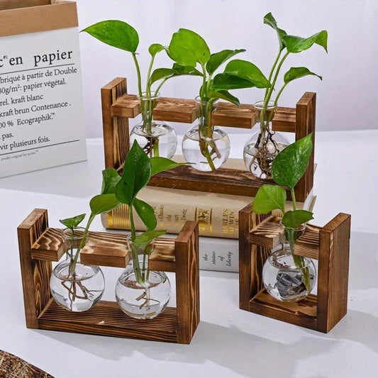 Vermehrungsstation aus Glas mit Holztablett - ApolettaApoletta