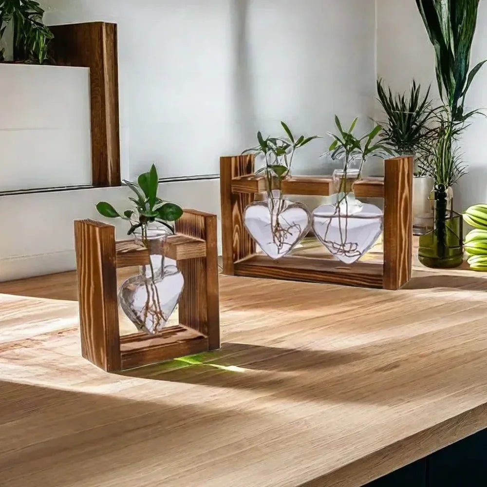 Vermehrungsstation aus Glas mit Holztablett - ApolettaApoletta