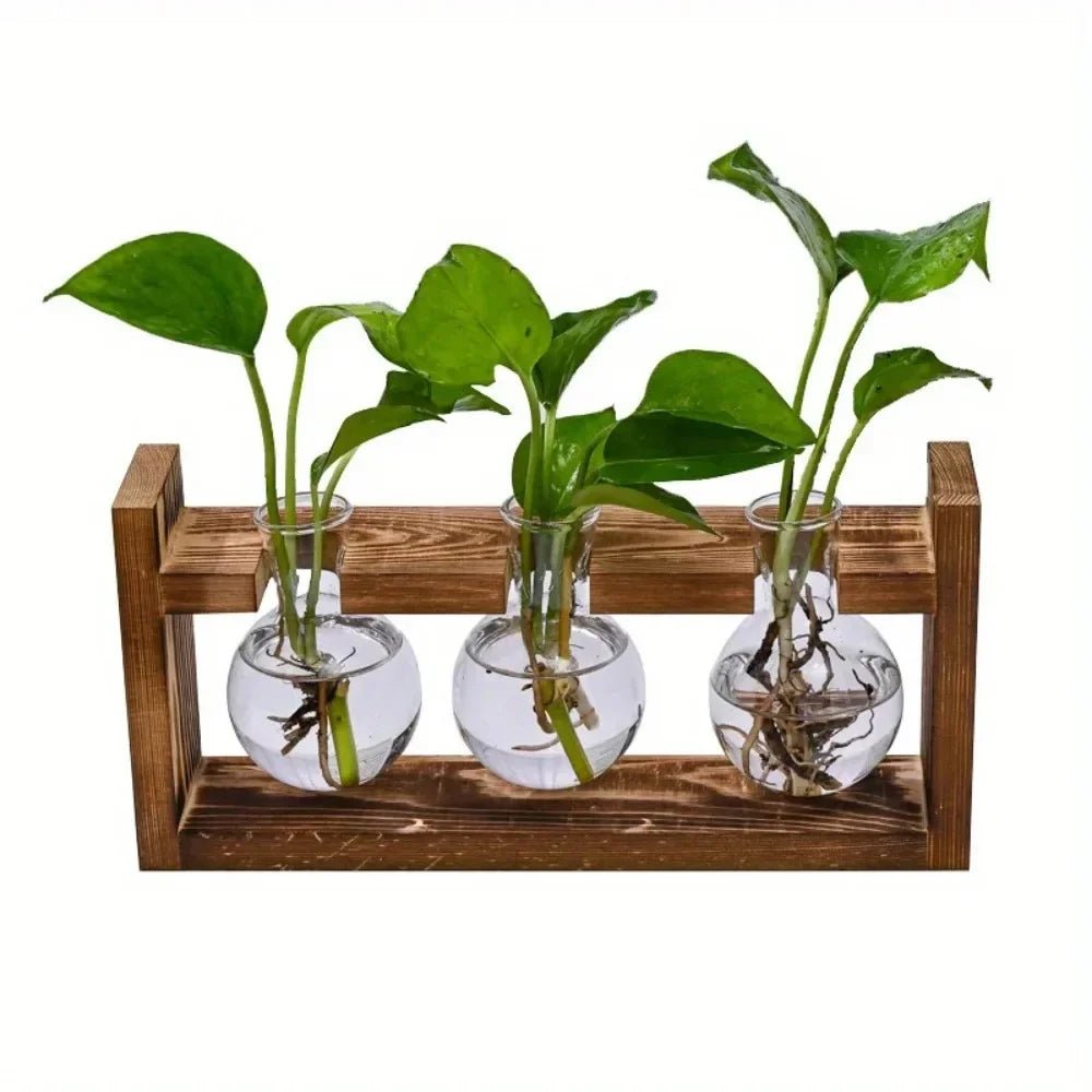 Vermehrungsstation aus Glas mit Holztablett - ApolettaApoletta