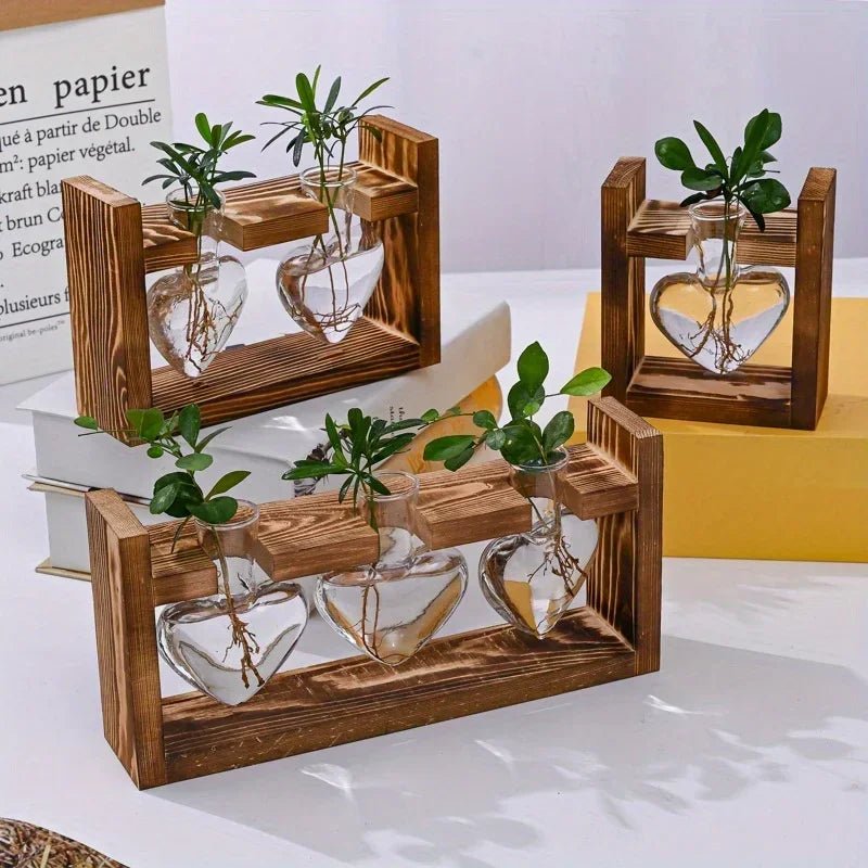 Vermehrungsstation aus Glas mit Holztablett - ApolettaApoletta