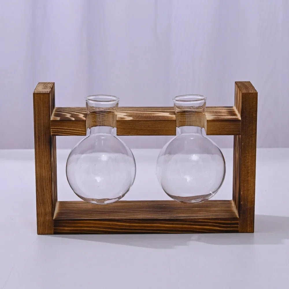 Vermehrungsstation aus Glas mit Holztablett - ApolettaApoletta