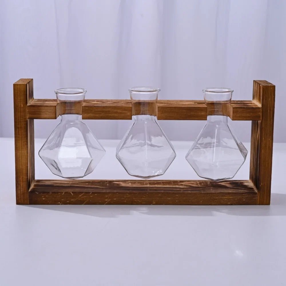 Vermehrungsstation aus Glas mit Holztablett - ApolettaApoletta