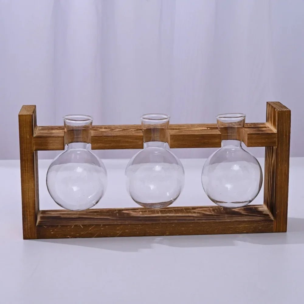 Vermehrungsstation aus Glas mit Holztablett - ApolettaApoletta