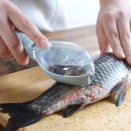Fischschuppen - Schaber mit Abdeckung - ApolettaApoletta