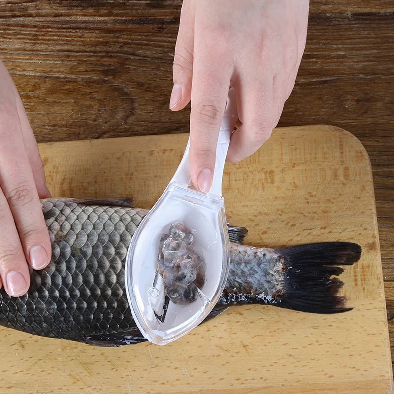 Fischschuppen - Schaber mit Abdeckung - ApolettaApoletta