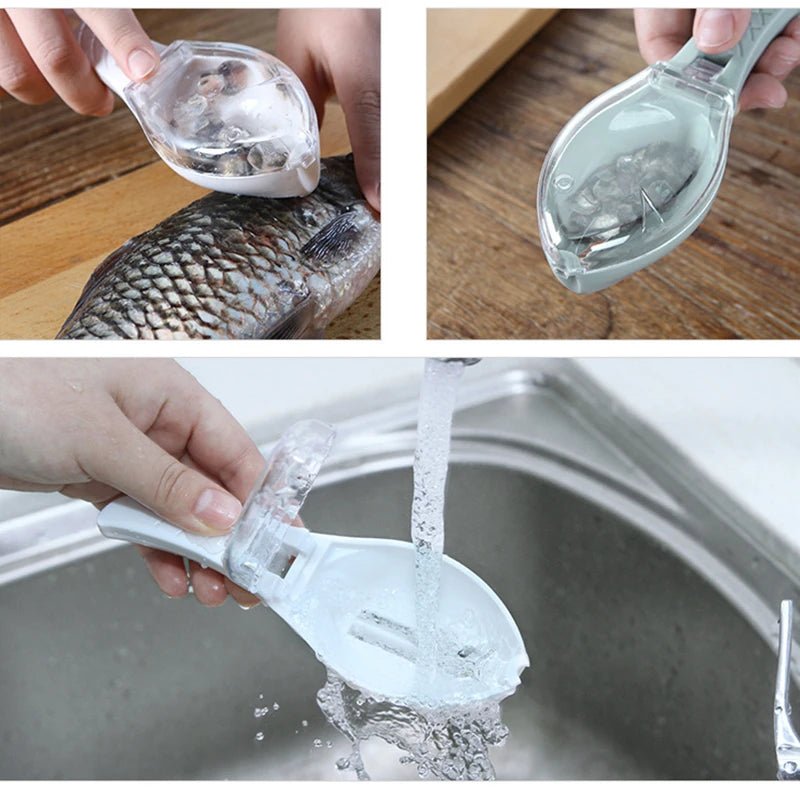Fischschuppen - Schaber mit Abdeckung - ApolettaApoletta